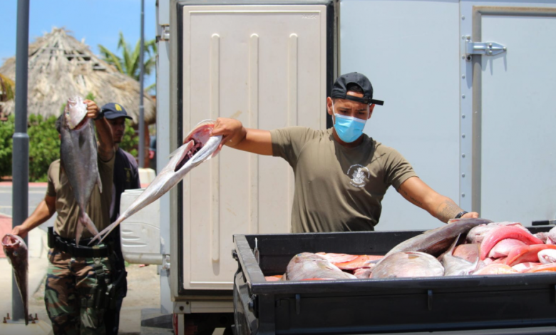 Photo of Condenan en Aruba a un pescador por llevar un cargamento desde Venezuela
