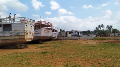 Photo of Por falta de dinero para pagar el seguro marinos de Falcón no pudieron reactivar el mercado flotante de Curazao