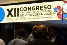 Photo of Empresarios venezolanos proponen ruta marítima con Curazao, Aruba y Bonaire para exportar pollo y huevos